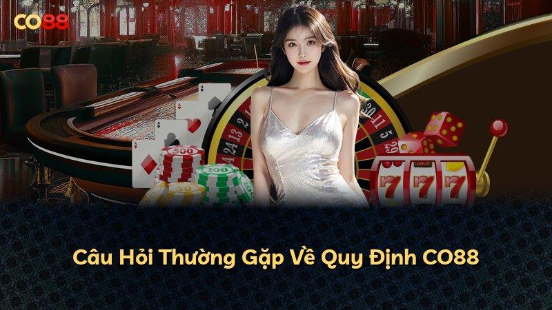 Câu Hỏi Thường Gặp Về Quy Định CO88