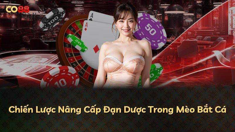 Chiến Lược Nâng Cấp Đạn Dược Trong Mèo Bắt Cá
