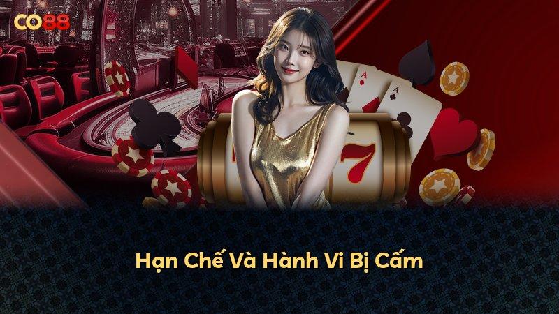 Hạn Chế Và Hành Vi Bị Cấm