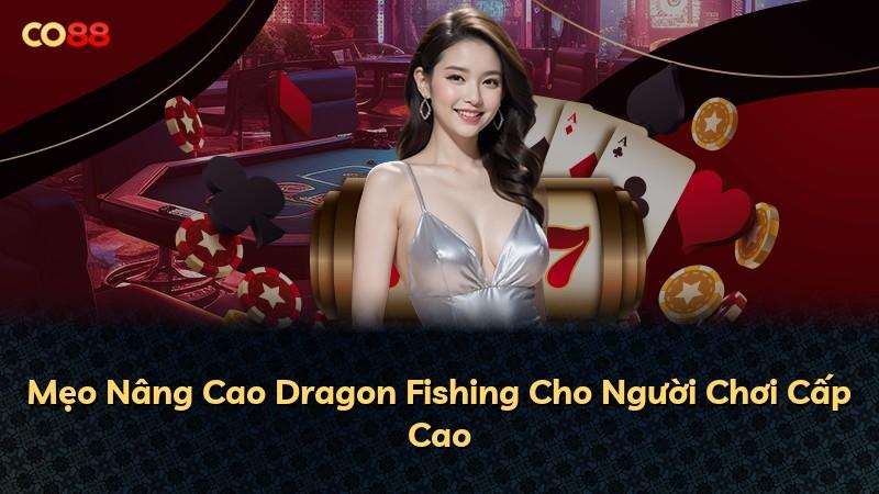 Mẹo Nâng Cao Dragon Fishing Cho Người Chơi Cấp Cao