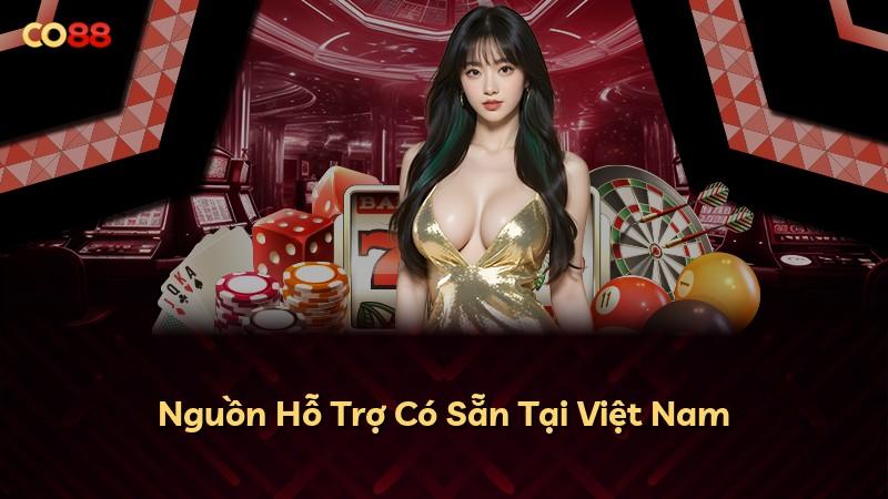 Nguồn Hỗ Trợ Có Sẵn Tại Việt Nam