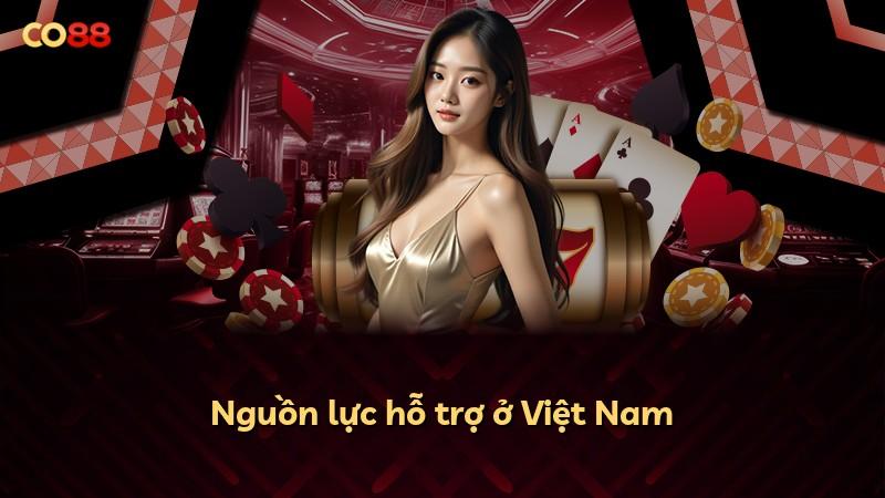 Nguồn lực hỗ trợ ở Việt Nam