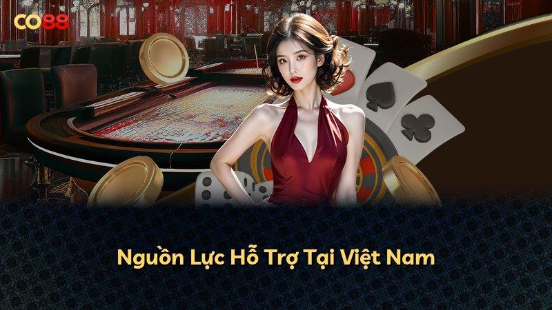 Nguồn Lực Hỗ Trợ Tại Việt Nam
