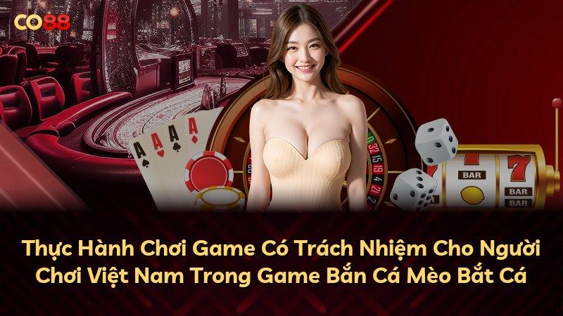 Thực Hành Chơi Game Có Trách Nhiệm Cho Người Chơi Việt Nam Trong Game Bắn Cá Mèo Bắt Cá