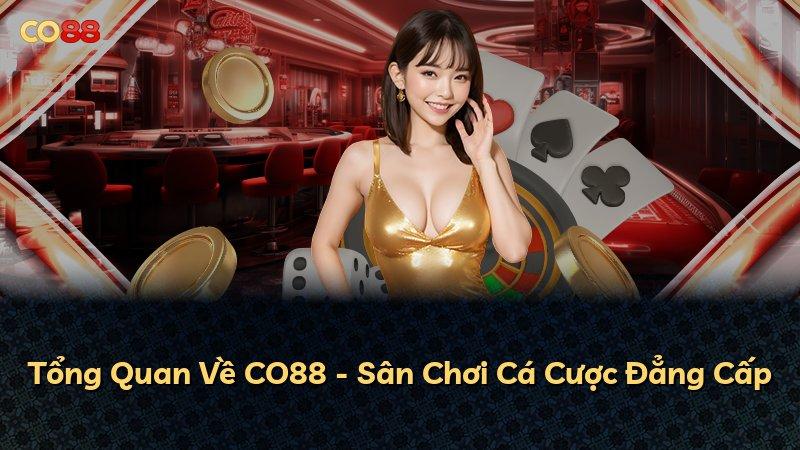 Tổng Quan Về CO88 - Sân Chơi Cá Cược Đẳng Cấp